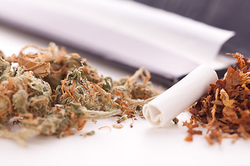 Image showing Dried Cannabis on Rolling Paper with Filter