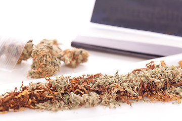 Image showing Dried Cannabis on Rolling Paper with Filter