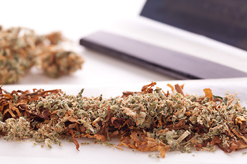 Image showing Dried Cannabis on Rolling Paper with Filter