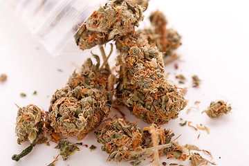 Image showing Close up Dried Marijuana Leaves on the Table