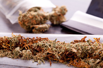 Image showing Dried Cannabis on Rolling Paper with Filter