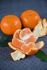 Image showing tangerines