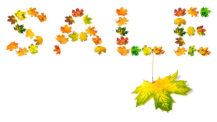 Image showing Autumn maple-leaf and word S A L E