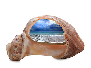 Image showing Sea beach during tide through broken rapana shell