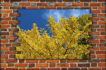 Image showing broken brick wall and view to Autumn yellow tree