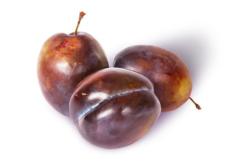 Image showing Three violet plums top view