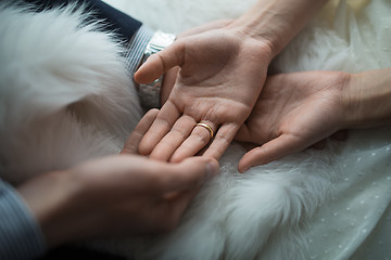 Image showing Hands newlyweds