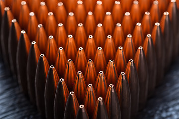 Image showing Macro shot of copper bullets that are in many rows to form a tri