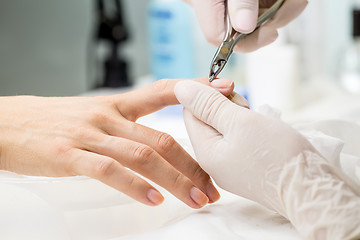 Image showing Manicure process in a beauty salon