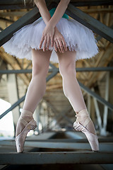 Image showing Cropped picture legs of graceful ballerina in white tutu