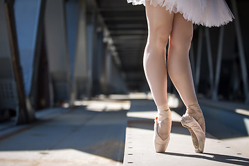 Image showing Cropped picture legs of graceful ballerina in white tutu