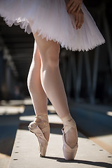 Image showing Cropped picture legs of graceful ballerina in white tutu