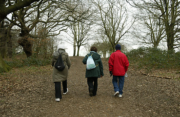 Image showing Walkers