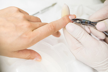 Image showing Manicure process in a beauty salon