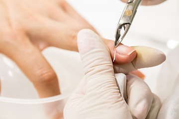 Image showing Manicure process in a beauty salon