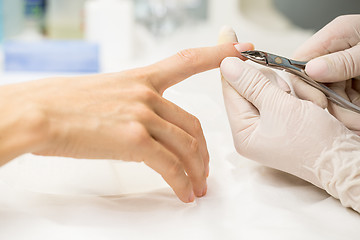 Image showing Manicure process in a beauty salon