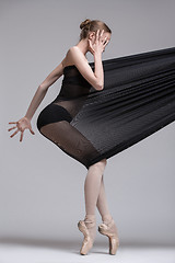 Image showing Slim dancer plays with black mesh fabric