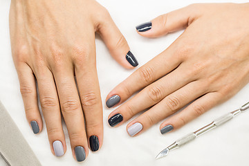 Image showing Beautiful manicure on hands of the girl