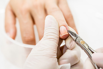 Image showing Manicure process in a beauty salon