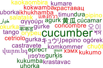 Image showing Cucumber multilanguage wordcloud background concept