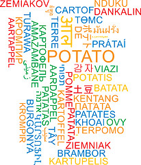 Image showing Potato multilanguage wordcloud background concept