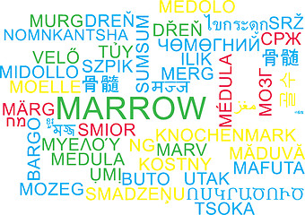 Image showing Marrow multilanguage wordcloud background concept