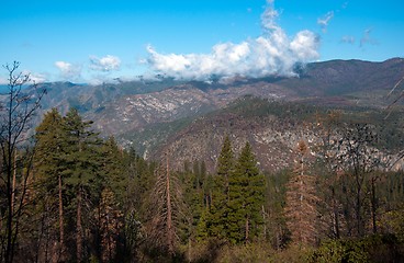 Image showing Yosemite Valley View