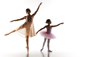 Image showing The little ballerina dancing with personal ballet teacher in dance studio