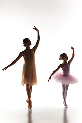 Image showing The little ballerina dancing with personal ballet teacher in dance studio