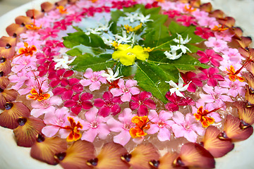 Image showing Beautiful oriental flowers