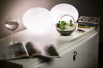 Image showing Plants on table