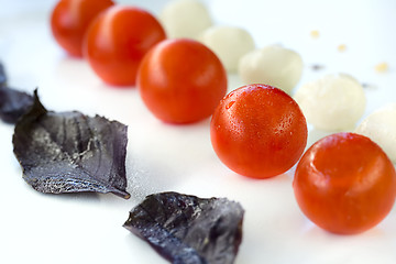 Image showing Mozzarella and tomatoes in line