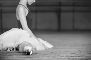 Image showing ballerina on tutu