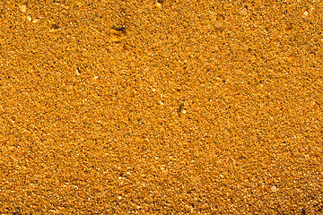 Image showing Desert sand pattern texture