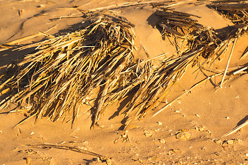 Image showing Desert sand pattern texture