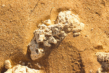 Image showing Desert sand pattern texture