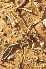 Image showing Desert sand pattern texture