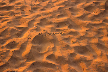 Image showing Desert sand pattern texture