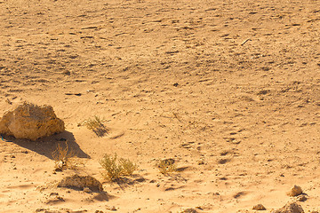 Image showing Desert sand pattern texture