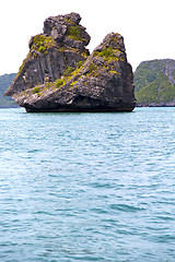 Image showing prayer monkey rock in thailand kho   of a  water      sea