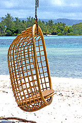 Image showing lagoon seat osier  seaweed in nosy be indian 