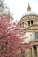 Image showing   cathedral in london england  construction and religion