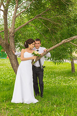 Image showing Portrait of the bride and groom 