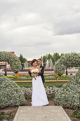 Image showing Portrait of the bride and groom   