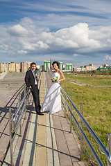 Image showing Portrait of the bride and groom   