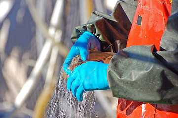 Image showing Fisherman and fish