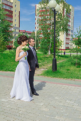 Image showing Portrait of the bride and groom   