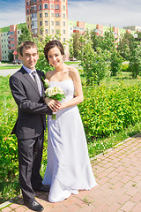 Image showing Portrait of the bride and groom   