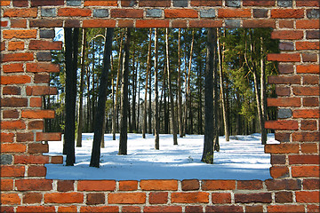 Image showing broken brick wall and view to Winter forest