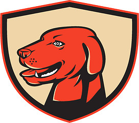 Image showing Labrador Golden Retriever Dog Head Shield Retro